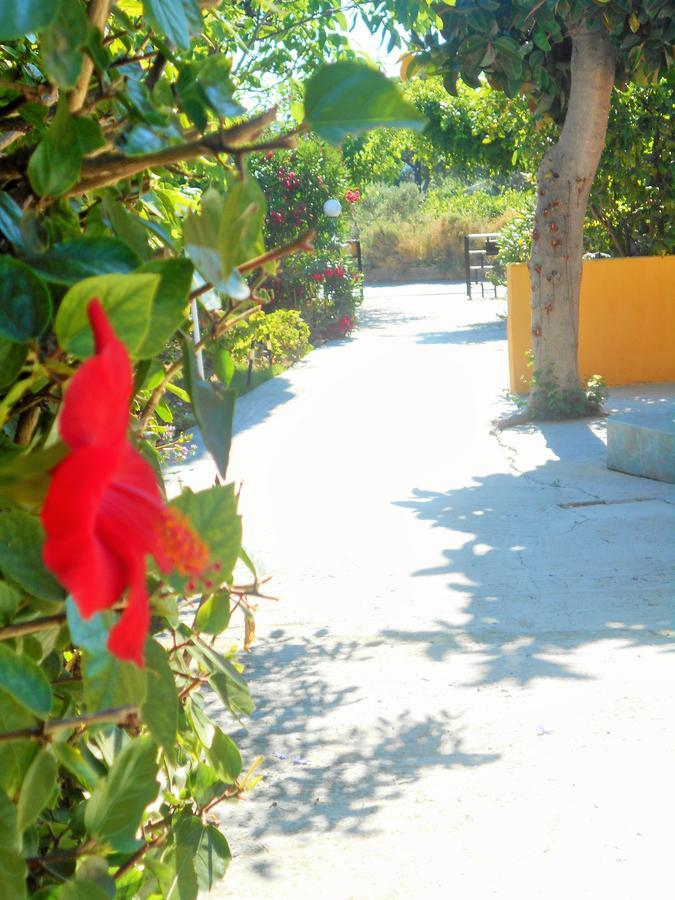 Villa Sofia イアリソス エクステリア 写真